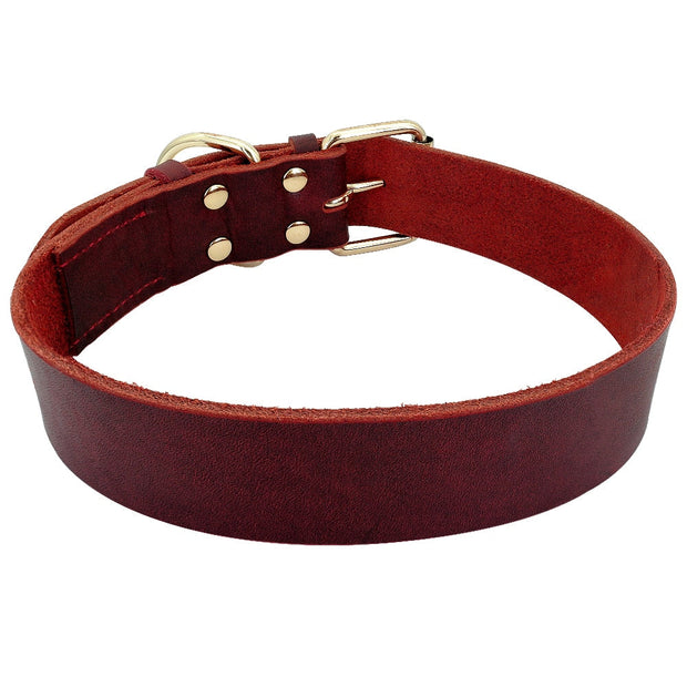 Collier Chien Cuir