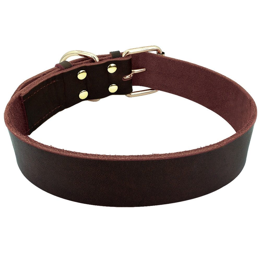 Collier Cuir Chien