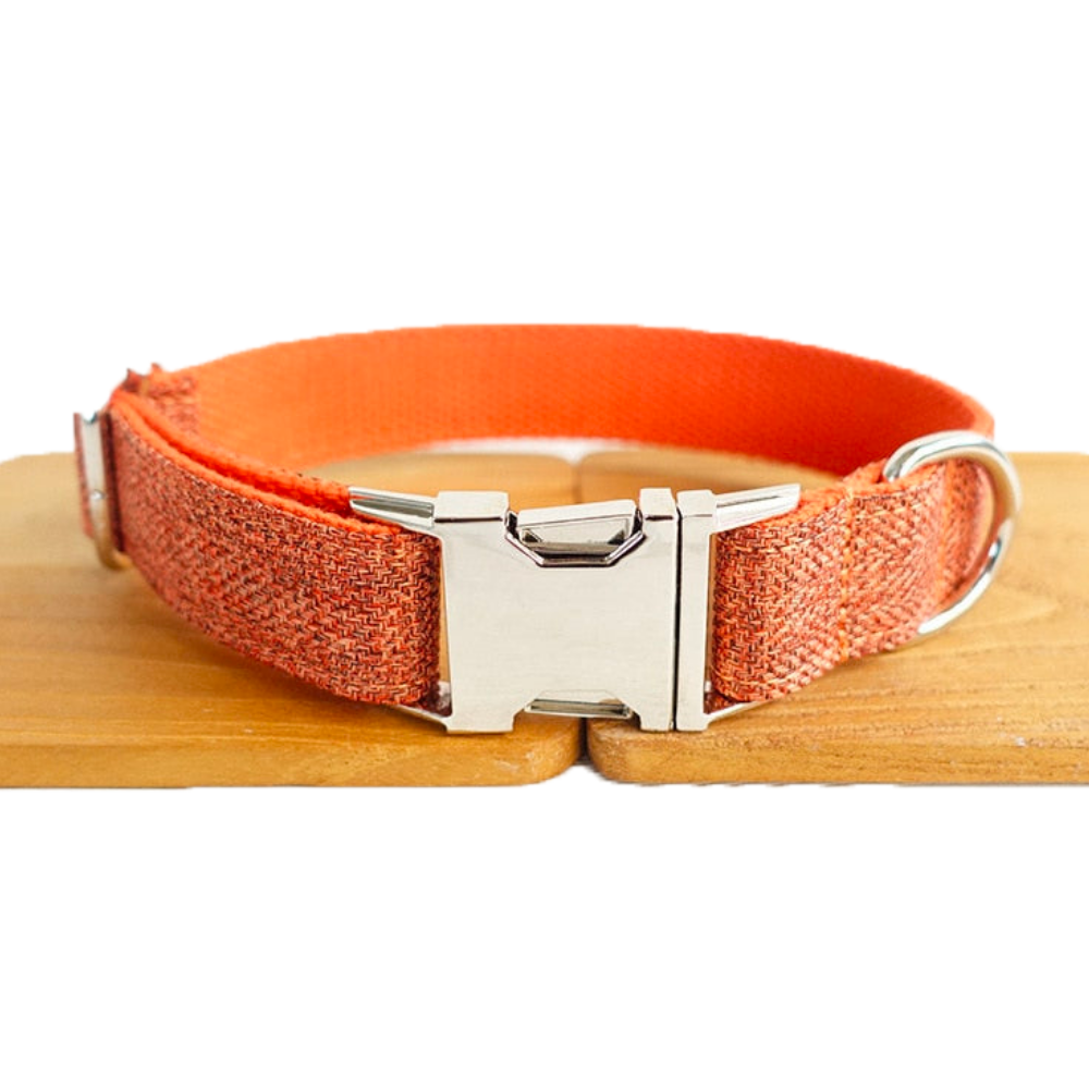 Collier Chien Personnalisé Orange