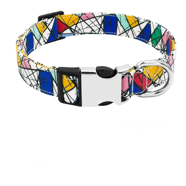 Collier Chien Personnalisé Coloré