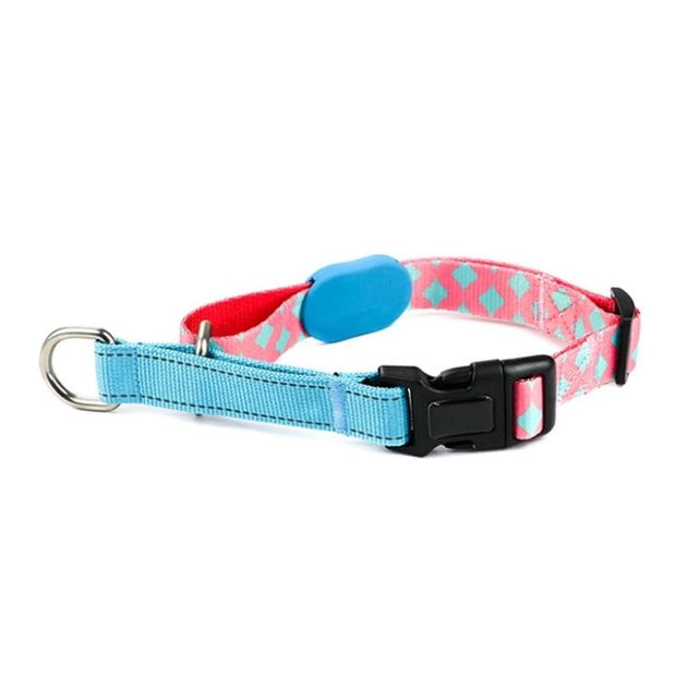 Collier Rose pour Husky