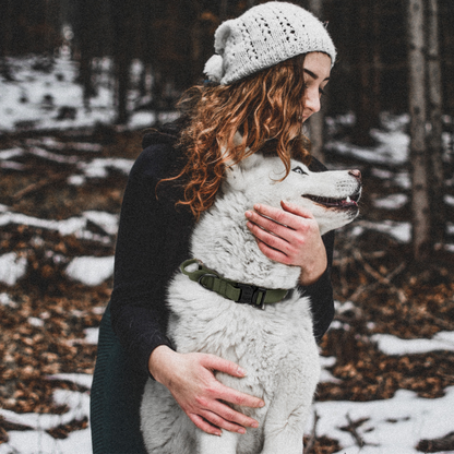 Collier En Nylon Avec Poignée