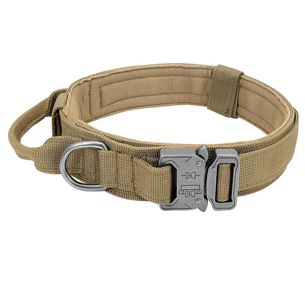 Collier Tactique Pour Chien