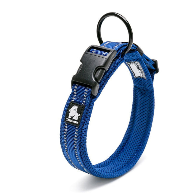 Collier Réfléchissant Bleu