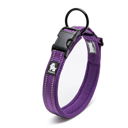 Collier Réfléchissant Violet