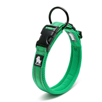 Collier Réfléchissant Vert
