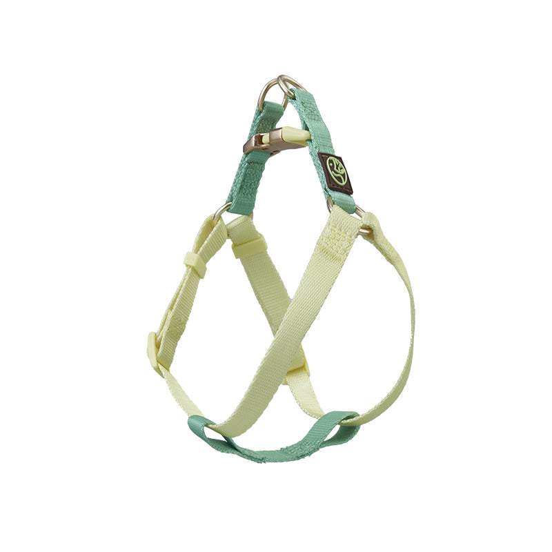 Harnais Pour Chiot Pastel