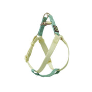 Harnais Pour Chiot Pastel