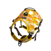 Harnais Chien Anti Traction