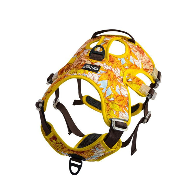 Harnais Chien Anti Traction