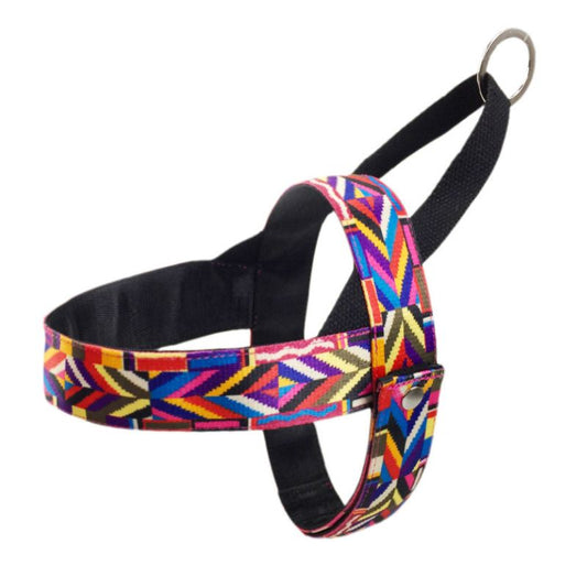 Harnais Anti Traction Chien