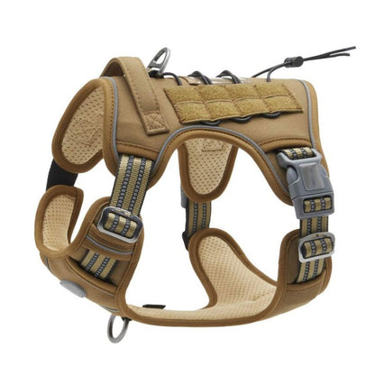 Harnais Anti Traction