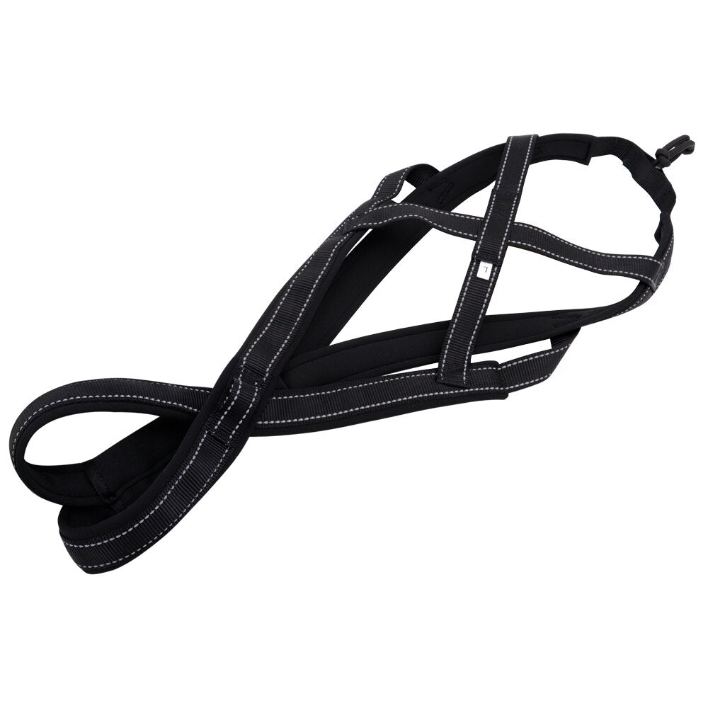 Harnais pour Canicross