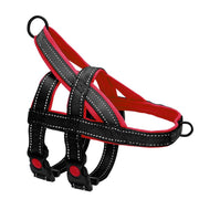 Harnais Chien Anti Traction