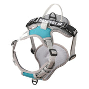 Harnais Chien Anti Traction