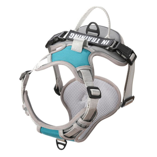 Harnais Chien Anti Traction