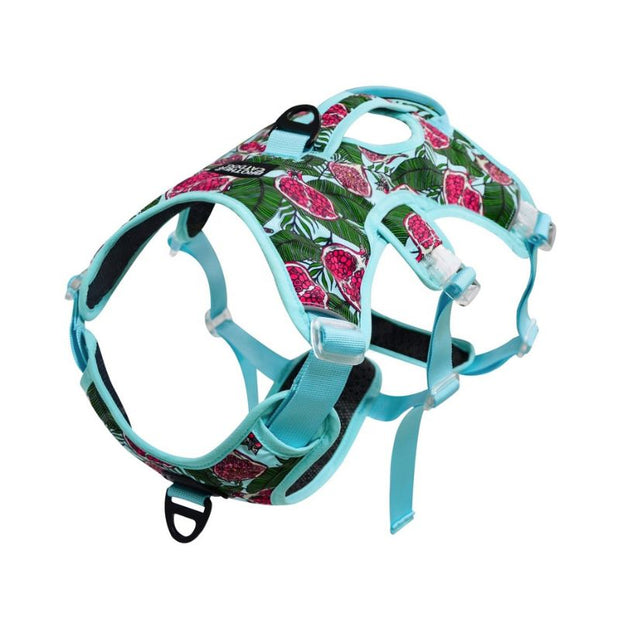 Harnais Chien Anti Traction