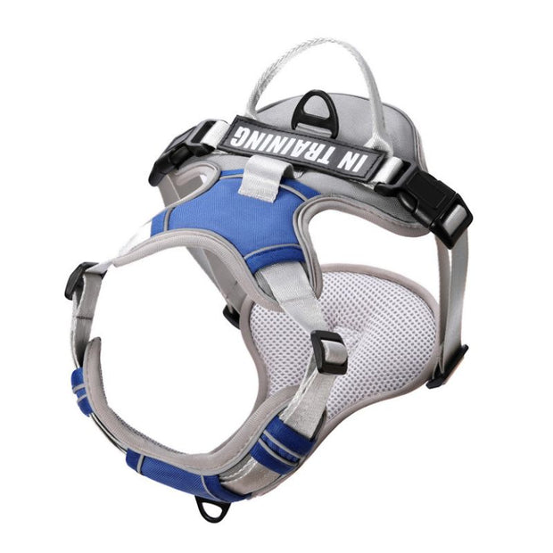 Harnais Chien Anti Traction Bleu