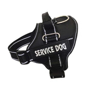 Harnais Chien Personnalise