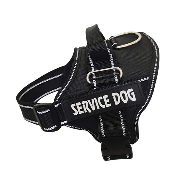 Harnais Chien Personnalise