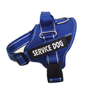 Harnais Chien Personnalisé