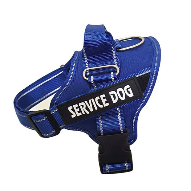 Harnais Chien Personnalisé