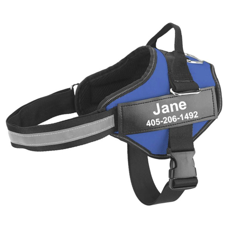 Harnais Chien Personnalisable Bleu