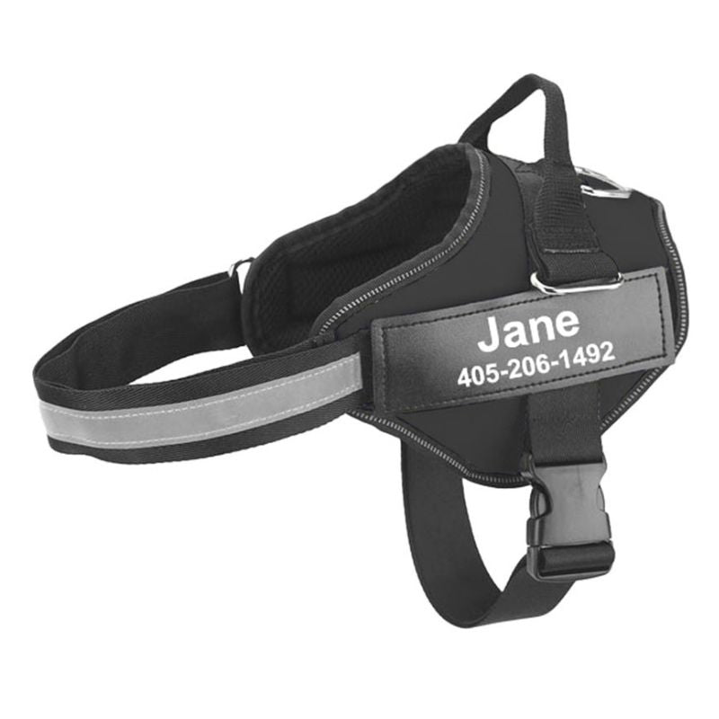 Harnais Chien Personnalisable Noir