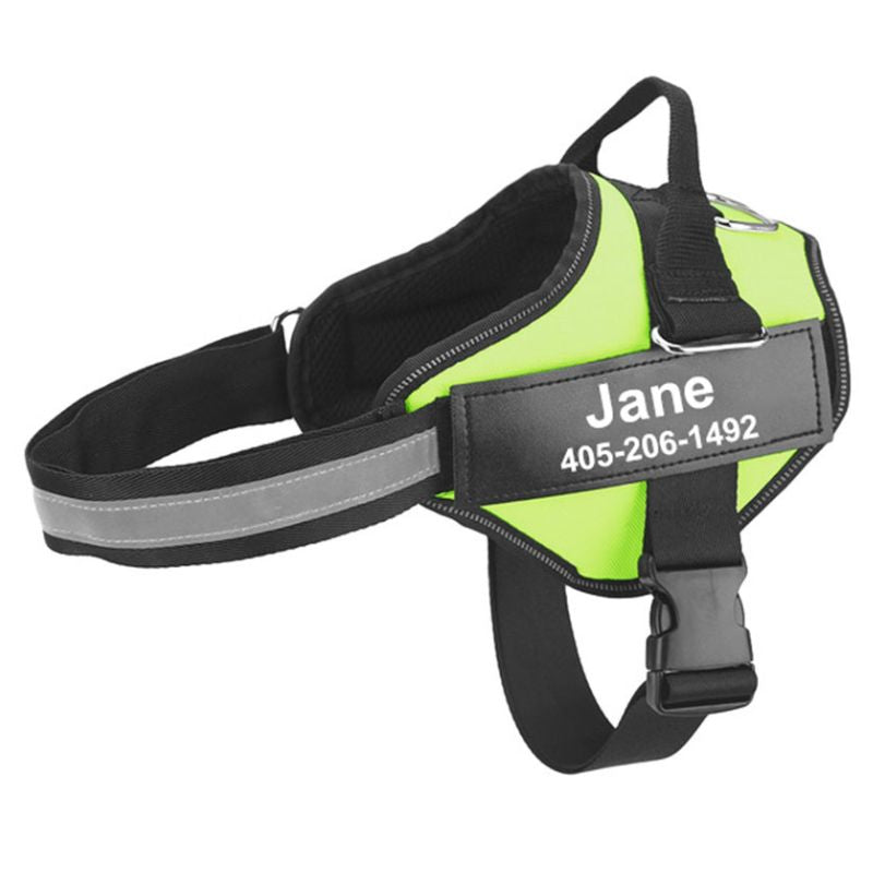 Harnais Chien Personnalisable Vert