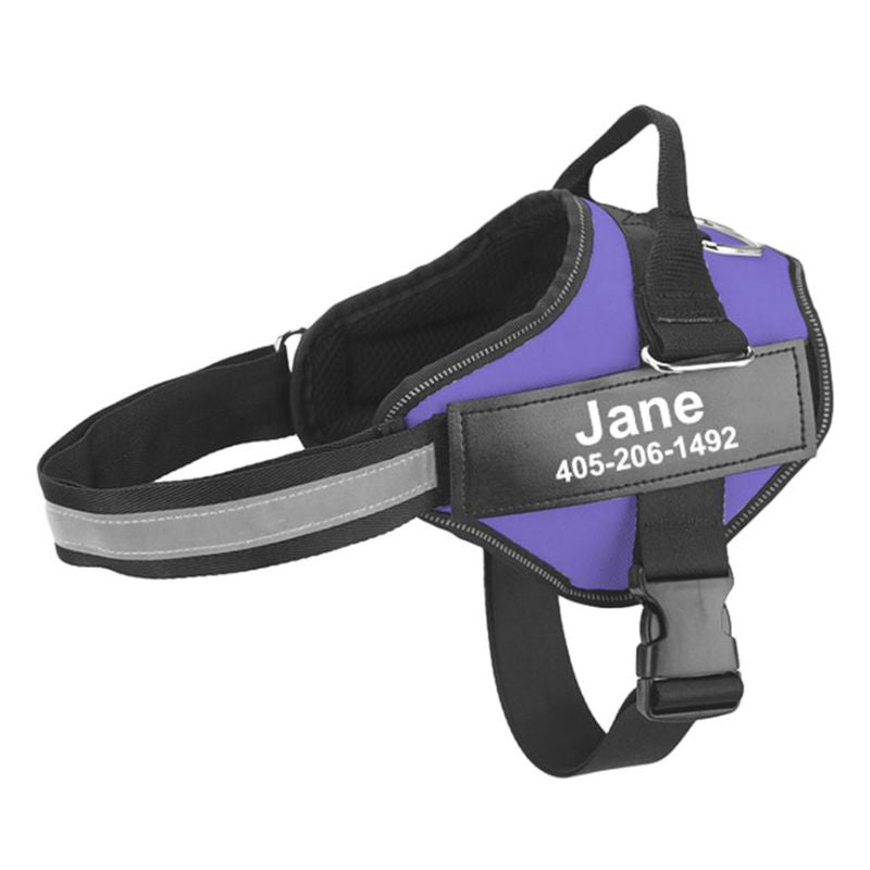 Harnais Chien Personnalisable Violet