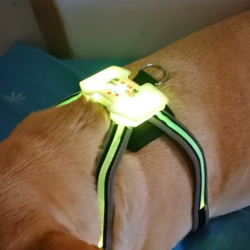 Harnais Lumière pour Husky