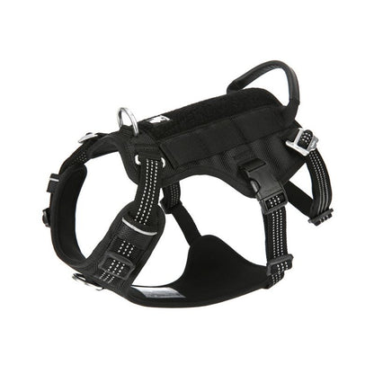 Harnais True Love Noir