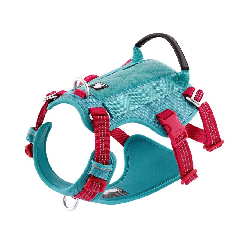 Harnais true Love Multicolore