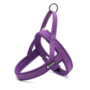 Harnais True Love Violet