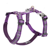 Harnais True Love Violet