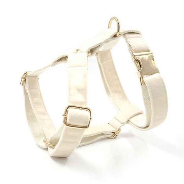 Harnais Velours Beige