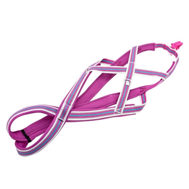 Harnais Traction pour Husky