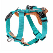 Harnais Chien Anti Traction Bleu