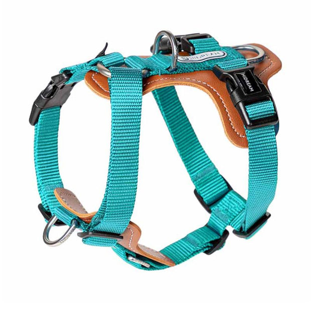 Harnais Chien Anti Traction Bleu
