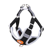 Harnais pour Chiot Husky