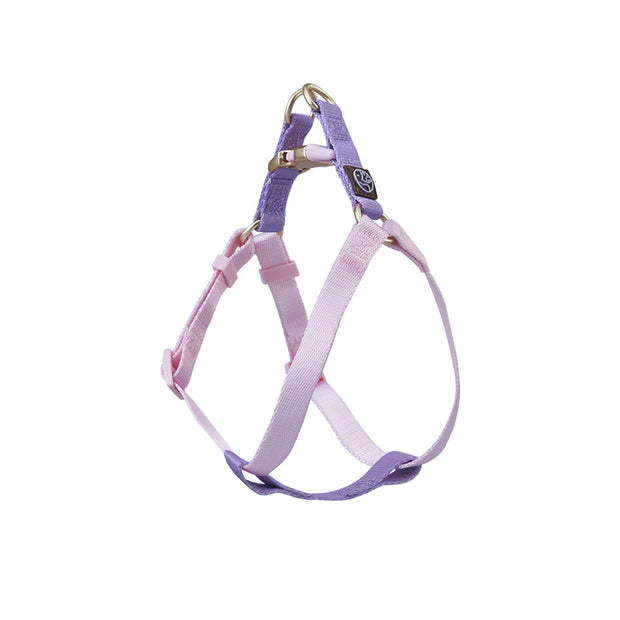 Harnais Pastel Pour Chiot