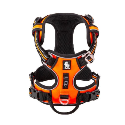 TrueLove Harnais