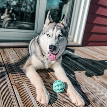 Balle pour Chien Bleu