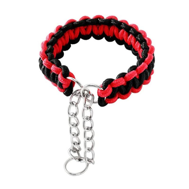 Collier Etrangleur pour Chien