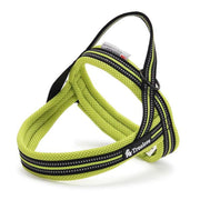 Harnais True Love Fluo