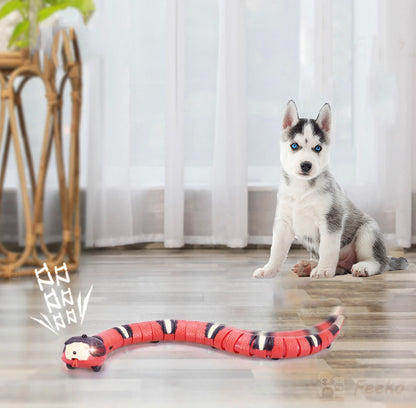 Jouet Pour Chien Interactif