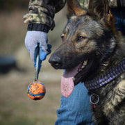 Jouet pour Chien