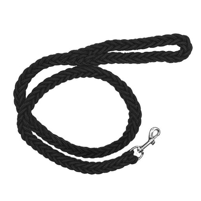 Laisse Chien Noir