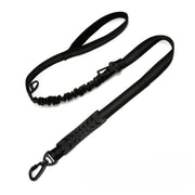 Laisse pour Chien Noir