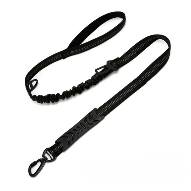 Laisse pour Chien Noir